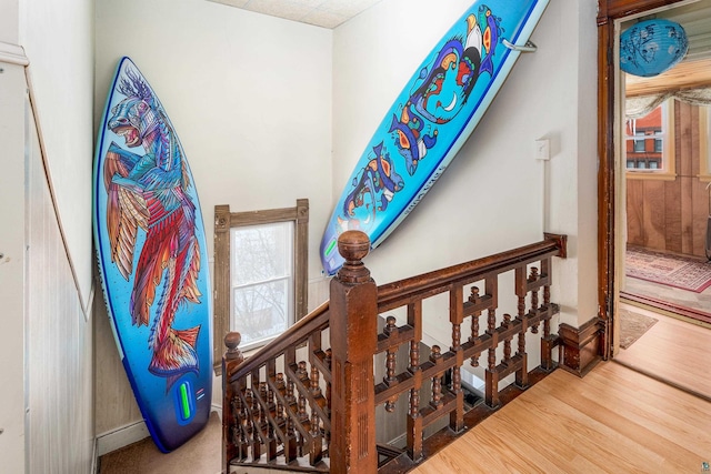 stairway with hardwood / wood-style floors