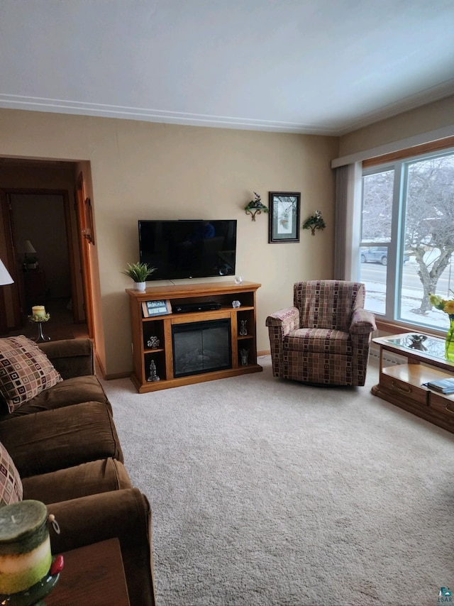 living room with carpet floors and crown molding