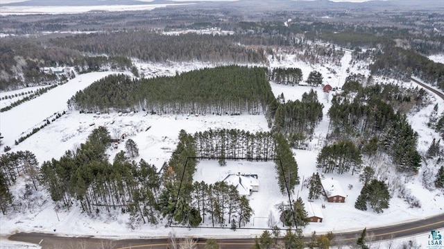 7596 Werner Rd, Virginia, MN 55720 - view of snowy aerial view