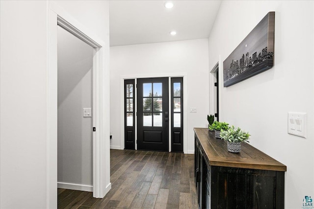 entrance foyer with dark wood-type flooring