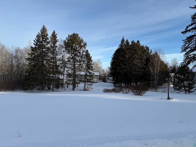 view of yard layered in snow