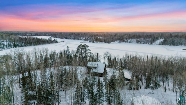 view of snowy aerial view