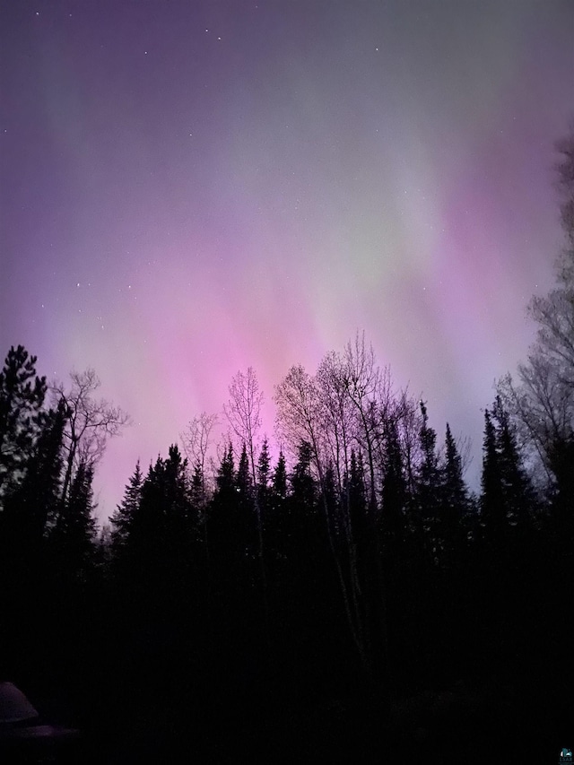 view of nature at dusk