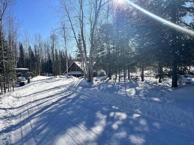 view of yard layered in snow