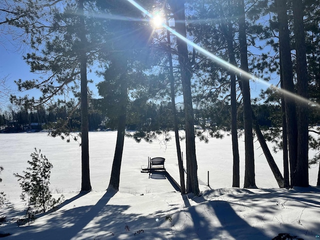 view of snowy yard