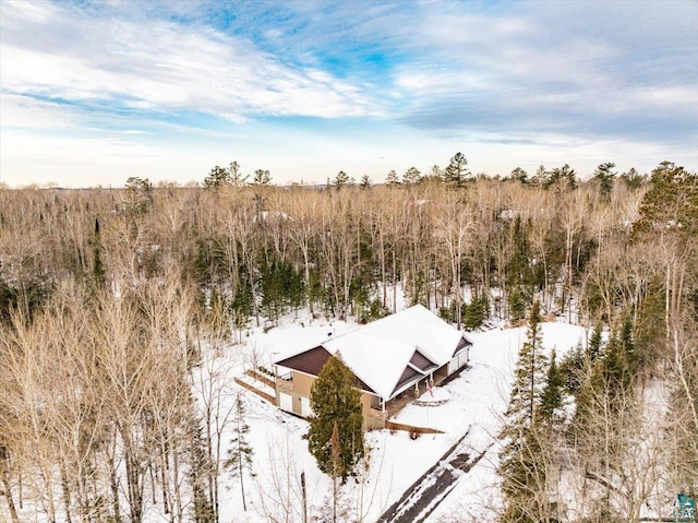 view of snowy aerial view