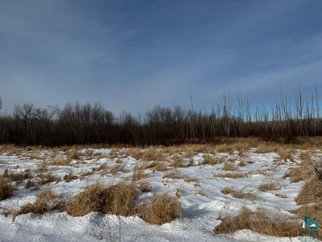 TBD County Rd 61, Carlton MN, 55718 land for sale