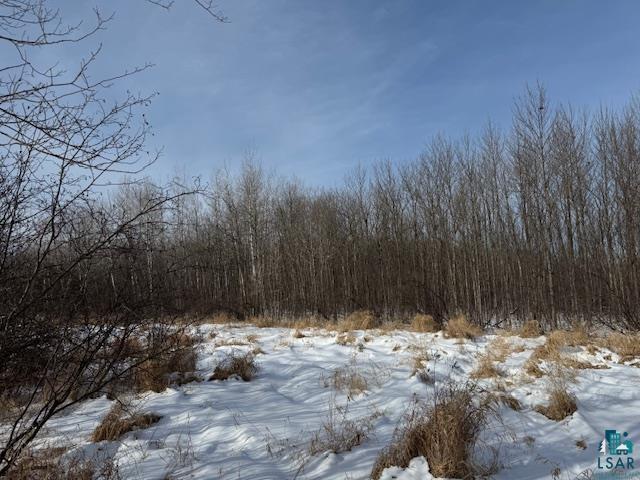 Listing photo 3 for TBD County Rd 61, Carlton MN 55718