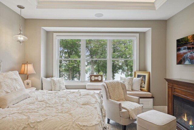 bedroom featuring a tray ceiling and multiple windows