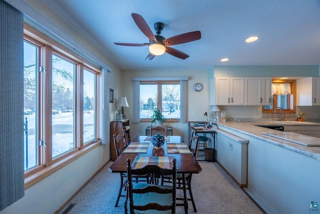 kitchen featuring white cabinetry, sink, light colored carpet, and a textured ceiling