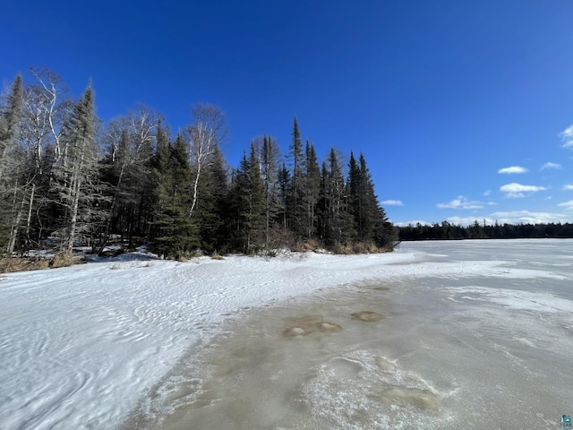 1XX Christianson Lake Rd, Two Harbors MN, 55616 land for sale