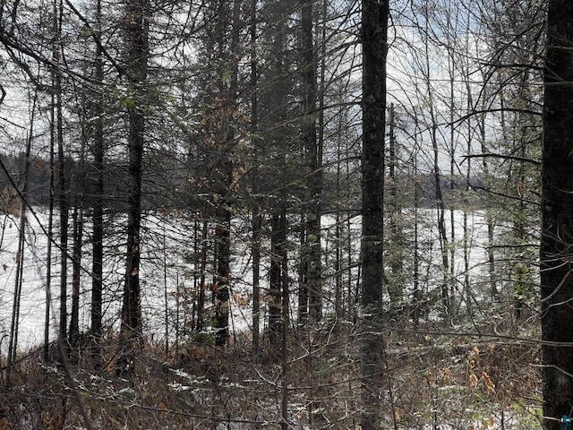 Listing photo 2 for 1XX Christianson Lake Rd, Two Harbors MN 55616