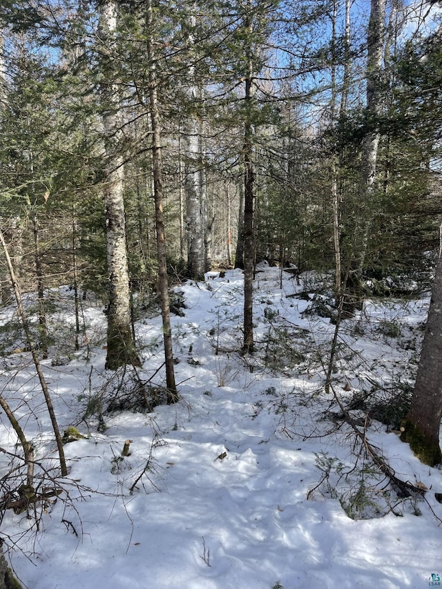 Listing photo 3 for 1XX Christianson Lake Rd, Two Harbors MN 55616