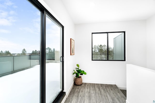 interior space featuring wood-type flooring