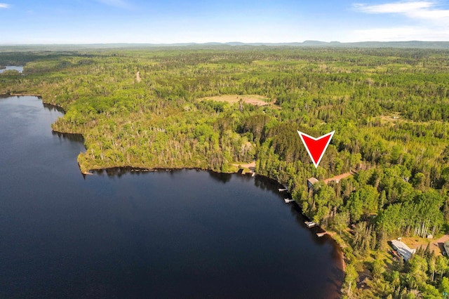 1480 Devil Track Rd, Grand Marais, MN 55604 - aerial view of property and surrounding area featuring a forest and a large body of water