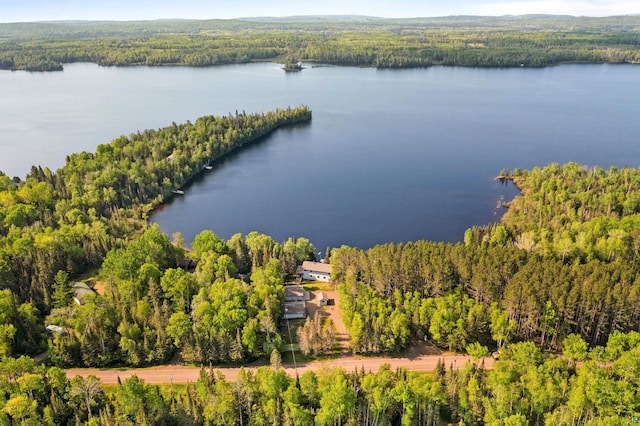 1480 Devil Track Rd, Grand Marais, MN 55604 - aerial view of a forest and a nearby body of water