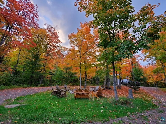 surrounding community with a yard