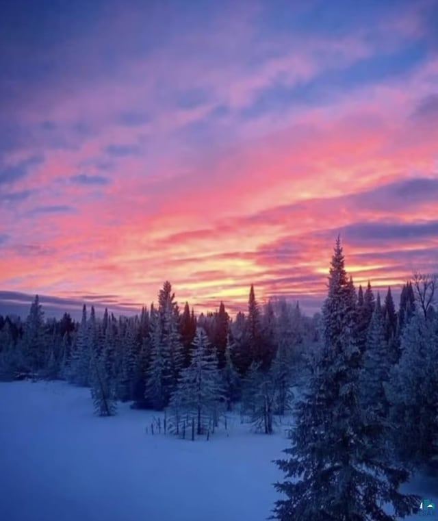 view of snowy landscape