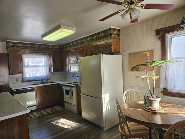 kitchen with sink, white appliances, dark hardwood / wood-style floors, and a healthy amount of sunlight