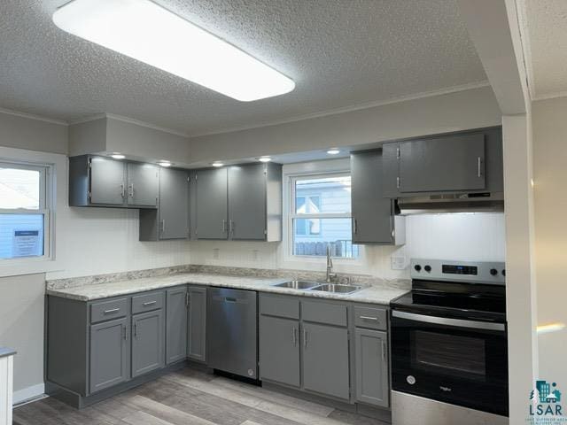 kitchen with light hardwood / wood-style flooring, sink, stainless steel appliances, and gray cabinetry