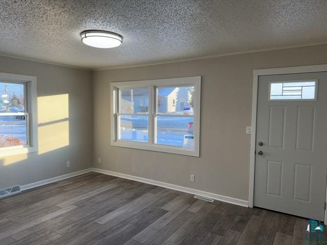 foyer entrance with plenty of natural light, dark wood-type flooring, and a textured ceiling