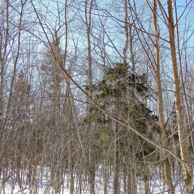 view of snow covered land