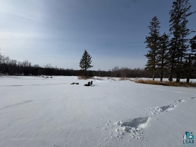 view of snowy yard