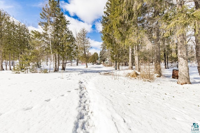 view of yard covered in snow