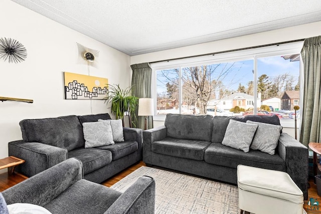 living room featuring a textured ceiling, a wealth of natural light, and wood finished floors