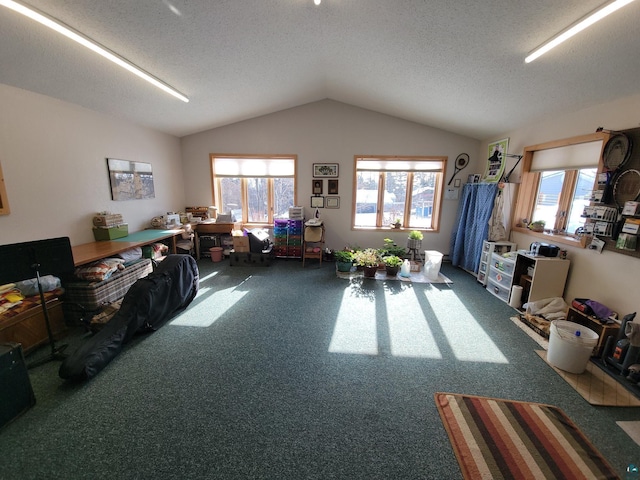 misc room featuring carpet floors, vaulted ceiling, and a textured ceiling