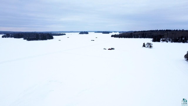 95173 Trapper Shack Bay, Tower, MN 55790 - water view