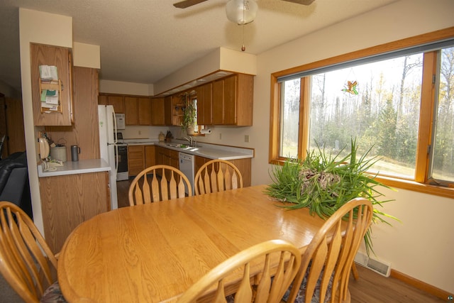 dining room with a ceiling fan, a textured ceiling, baseboards, and wood finished floors