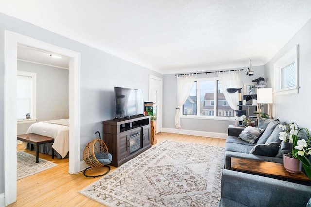 living area with a glass covered fireplace, baseboards, and wood finished floors