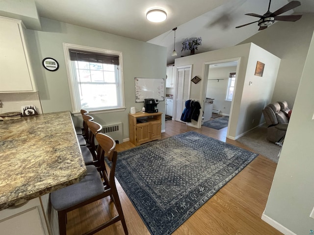 interior space featuring a healthy amount of sunlight, vaulted ceiling, light wood-style flooring, and radiator heating unit