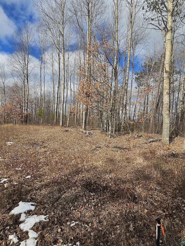 Listing photo 2 for LOT4 Fire Hill Ests, Gordon WI 54873