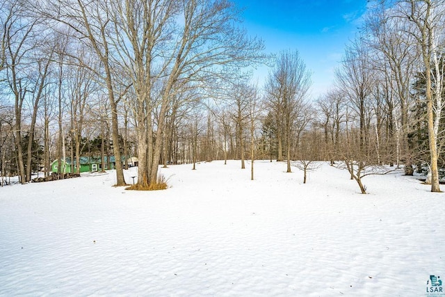 view of yard layered in snow