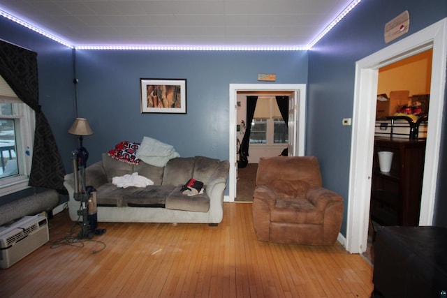 living room with wood-type flooring