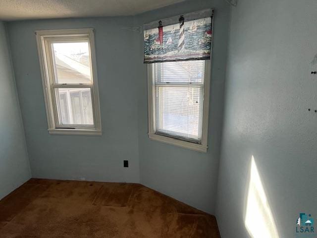 unfurnished dining area featuring carpet and plenty of natural light