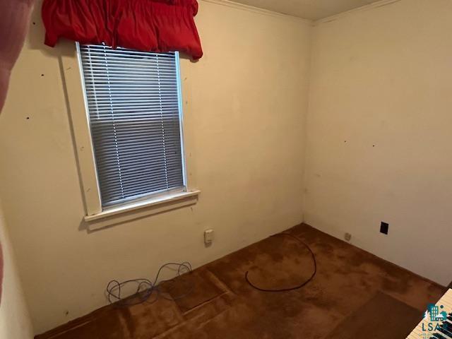 spare room featuring crown molding