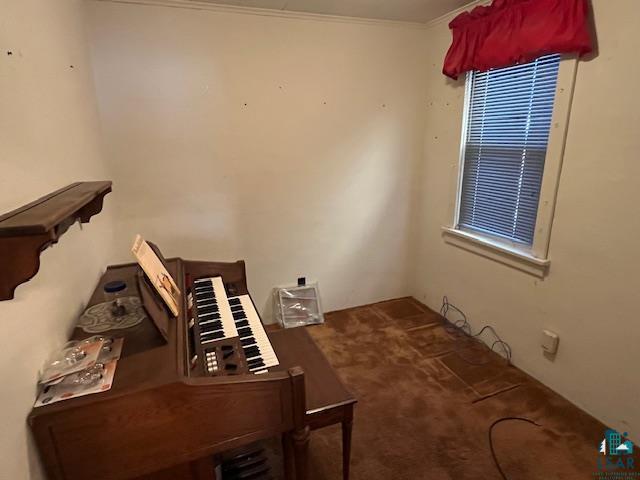 interior space with carpet and crown molding