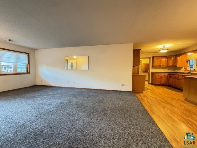 unfurnished living room with light carpet