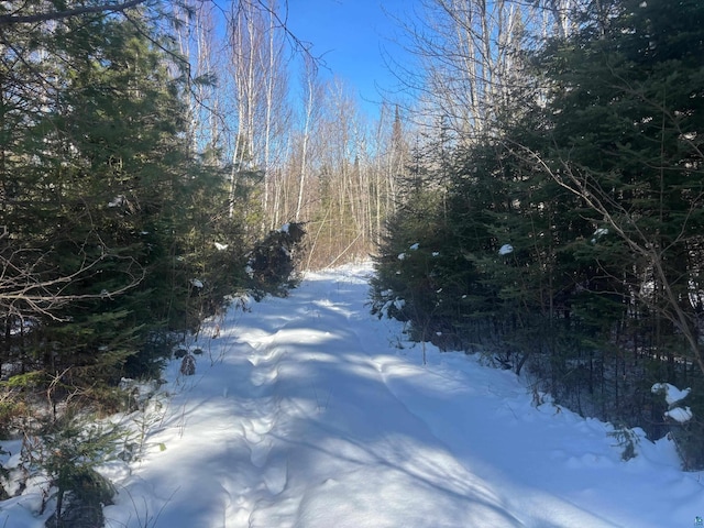 72033 Ponsegrau Rd, Mellen, WI 54546