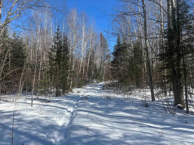72033 Ponsegrau Rd, Mellen, WI 54546