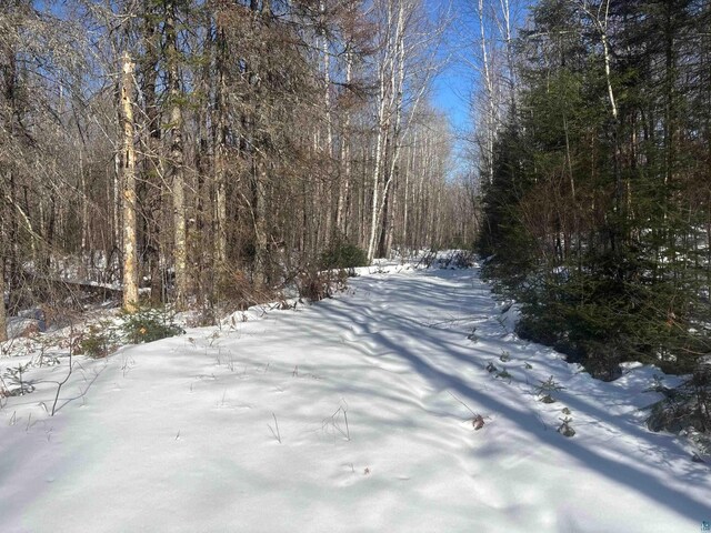 72033 Ponsegrau Rd, Mellen, WI 54546