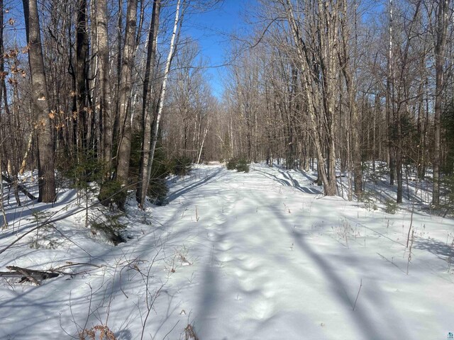 72033 Ponsegrau Rd, Mellen, WI 54546