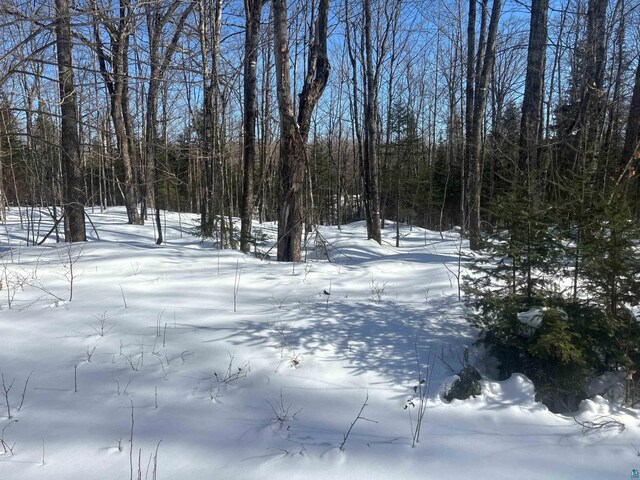 72033 Ponsegrau Rd, Mellen, WI 54546