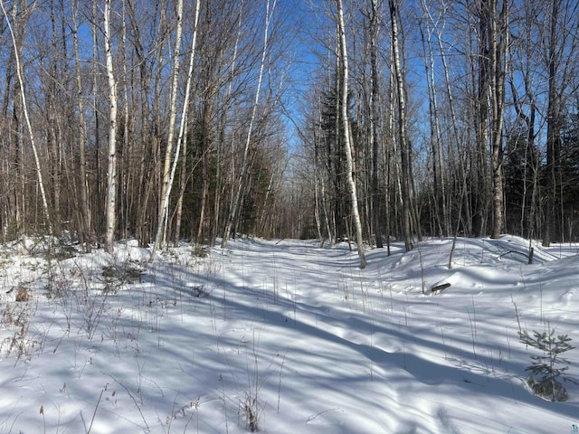 72033 Ponsegrau Rd, Mellen, WI 54546