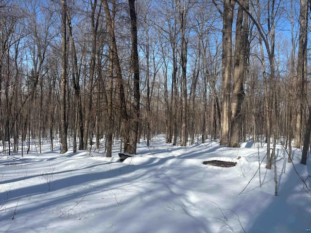 72033 Ponsegrau Rd, Mellen, WI 54546