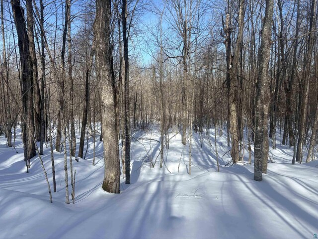 72033 Ponsegrau Rd, Mellen, WI 54546