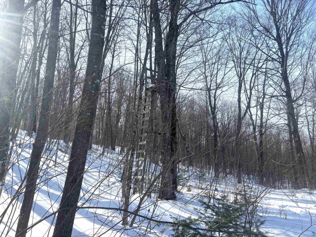 72033 Ponsegrau Rd, Mellen, WI 54546
